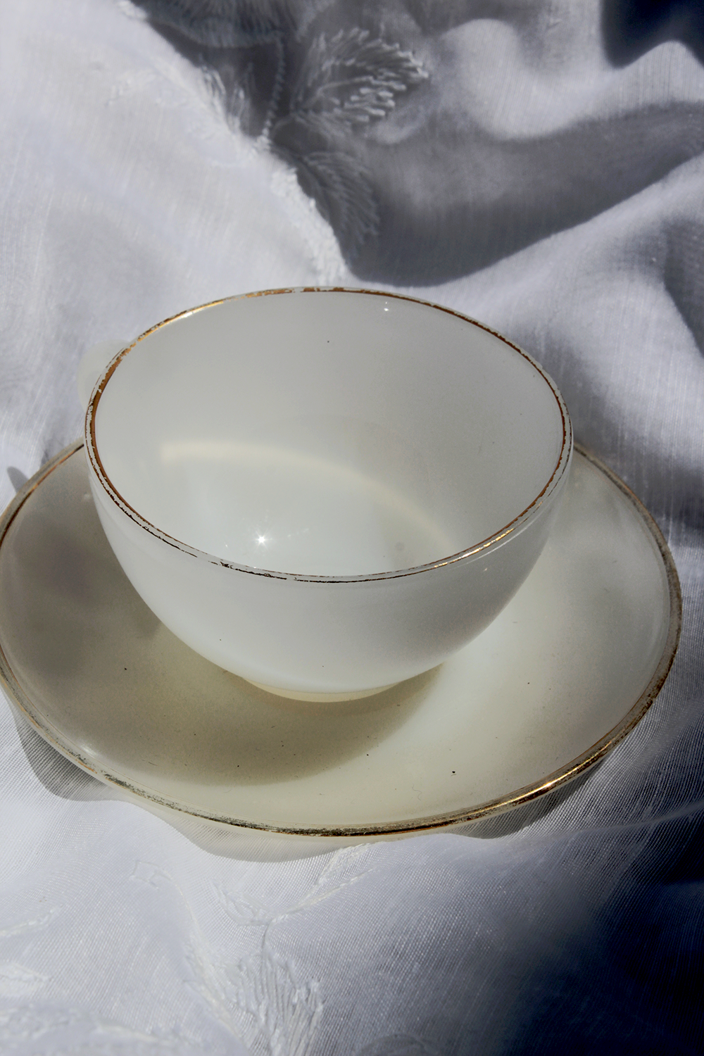 Arlequin blanche