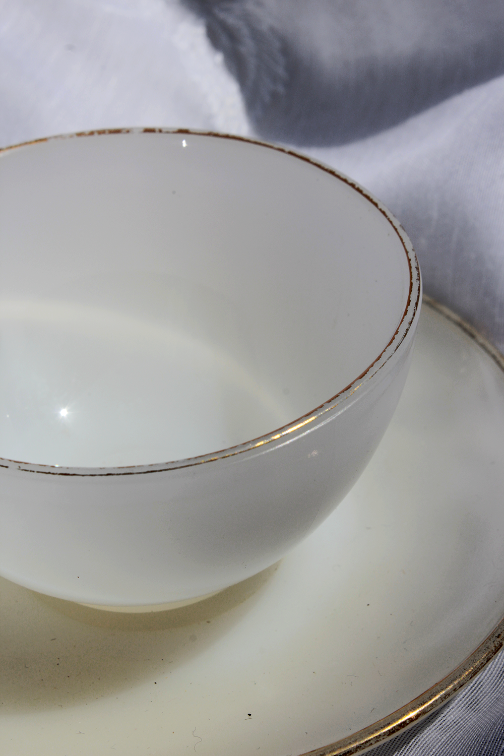 Arlequin blanche